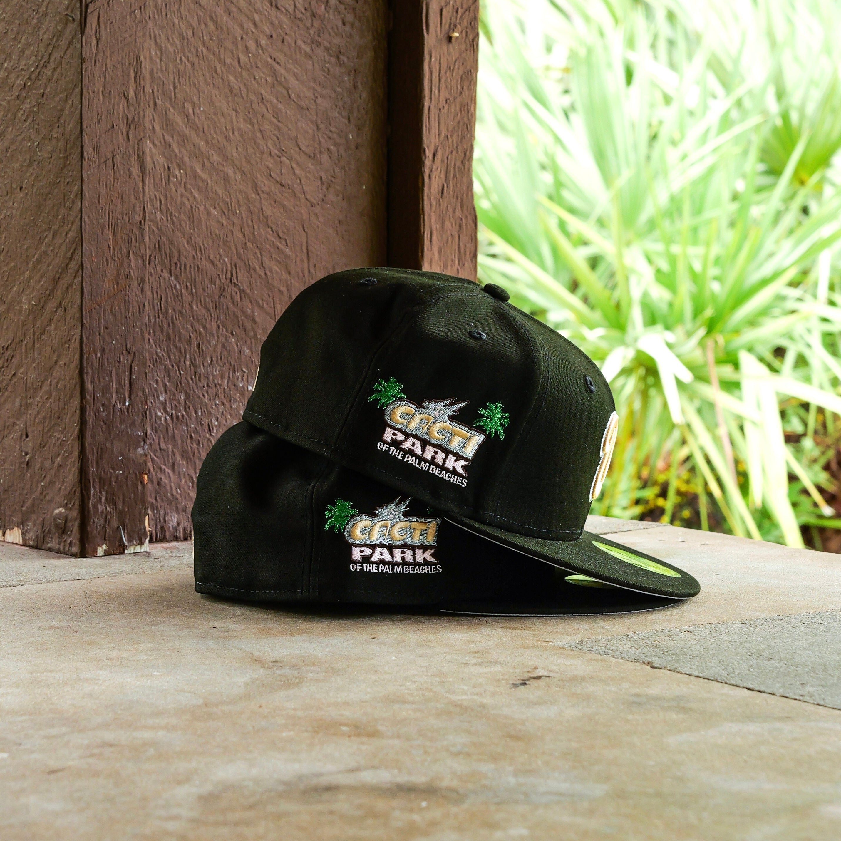 New Era Washington Nationals Cacti Park of The Palm Beaches Fitted - New Era