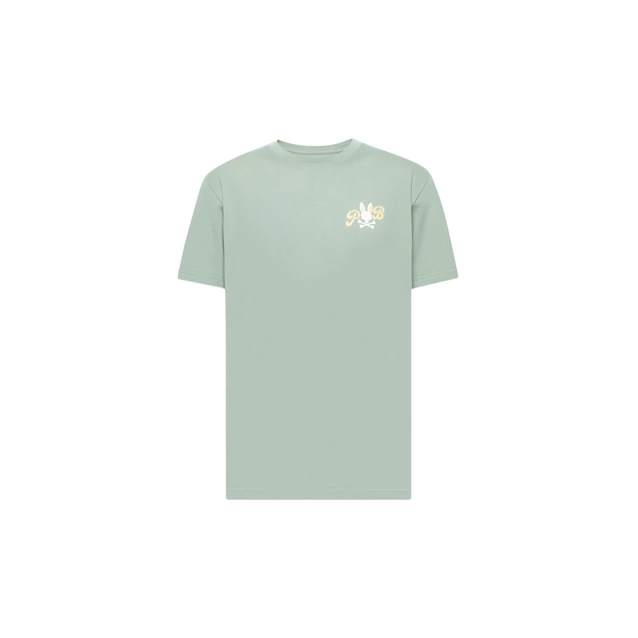 Psycho Bunny "Jeremy" Graphic Tee (Iceberg Green) - Psycho Bunny