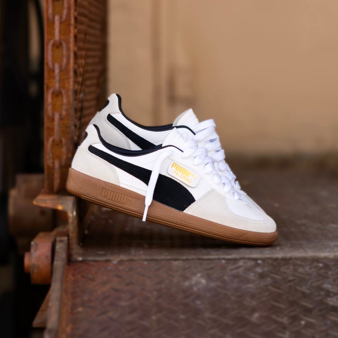 Mens Puma Palermo LTH (White/Black) - Puma