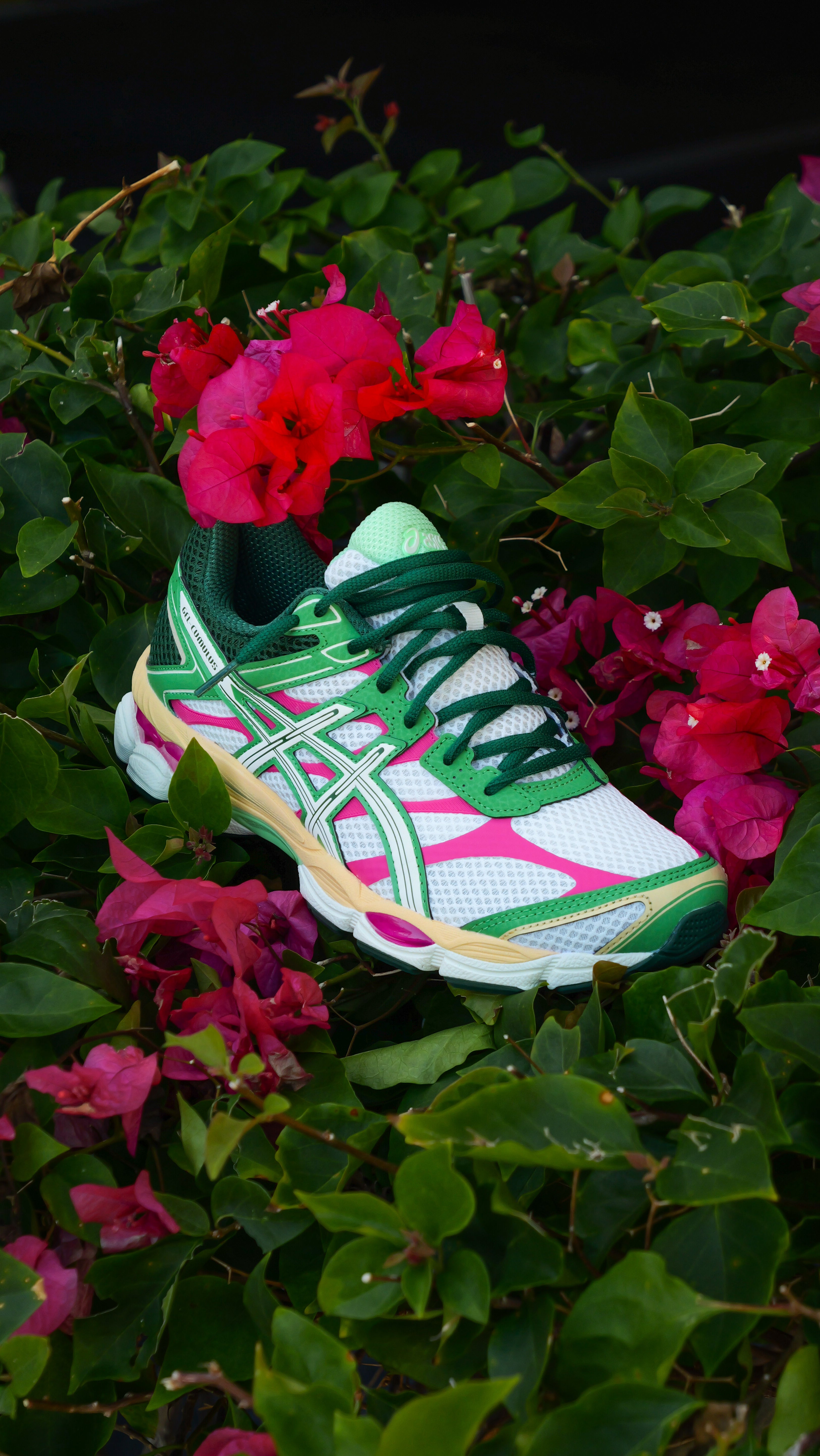 Mens Asics Gel-Cumulus 16 (Cream/Ivory)