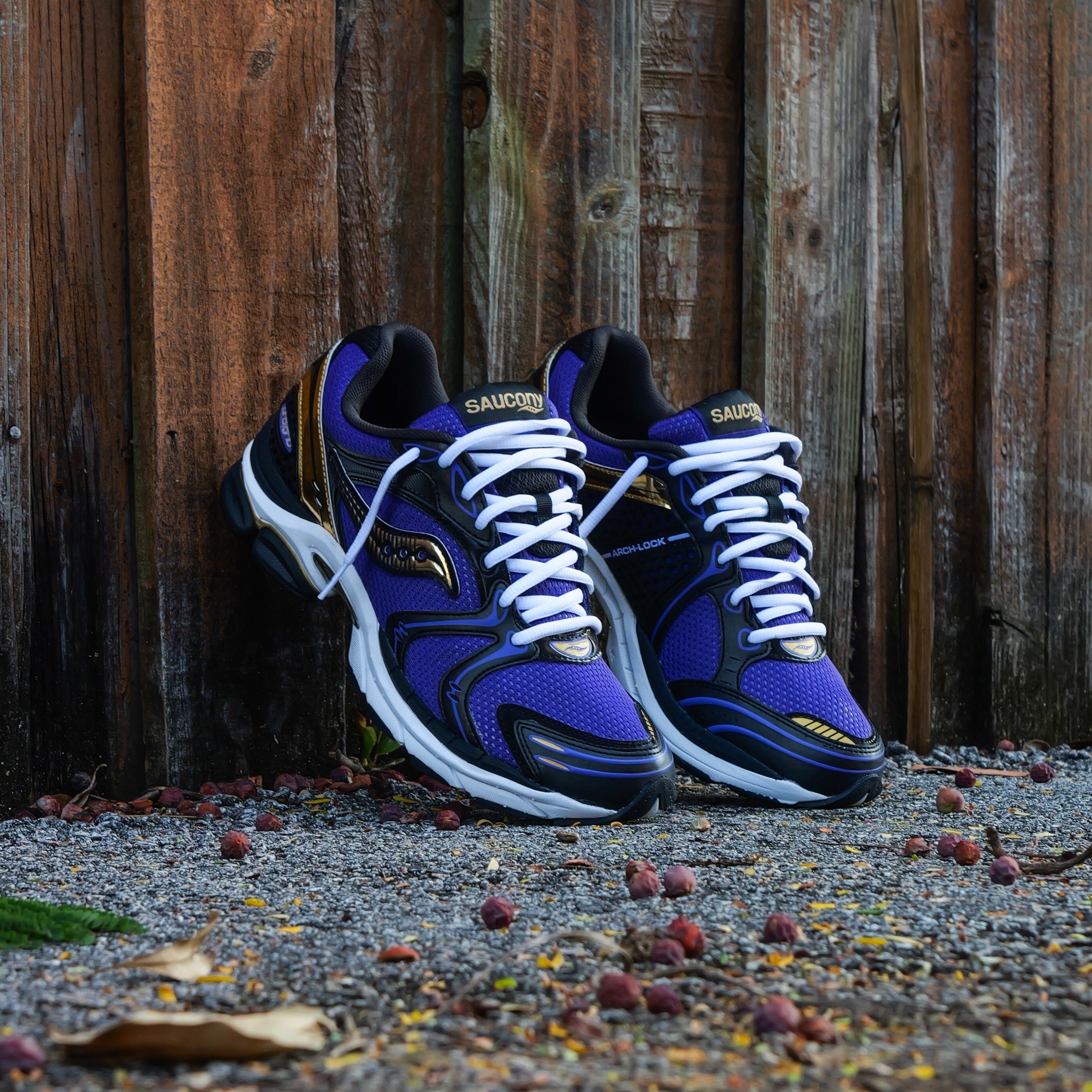 Mens Saucony ProGrid Triumph 4  (Purple/Gold) - Saucony