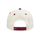 Paper Planes THE OLD E A-FRAME SNAPBACK