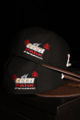 New Era Houston Astros Cacti Park of The Palm Beaches Travis Scott Patch Fitted (Black/Brown)