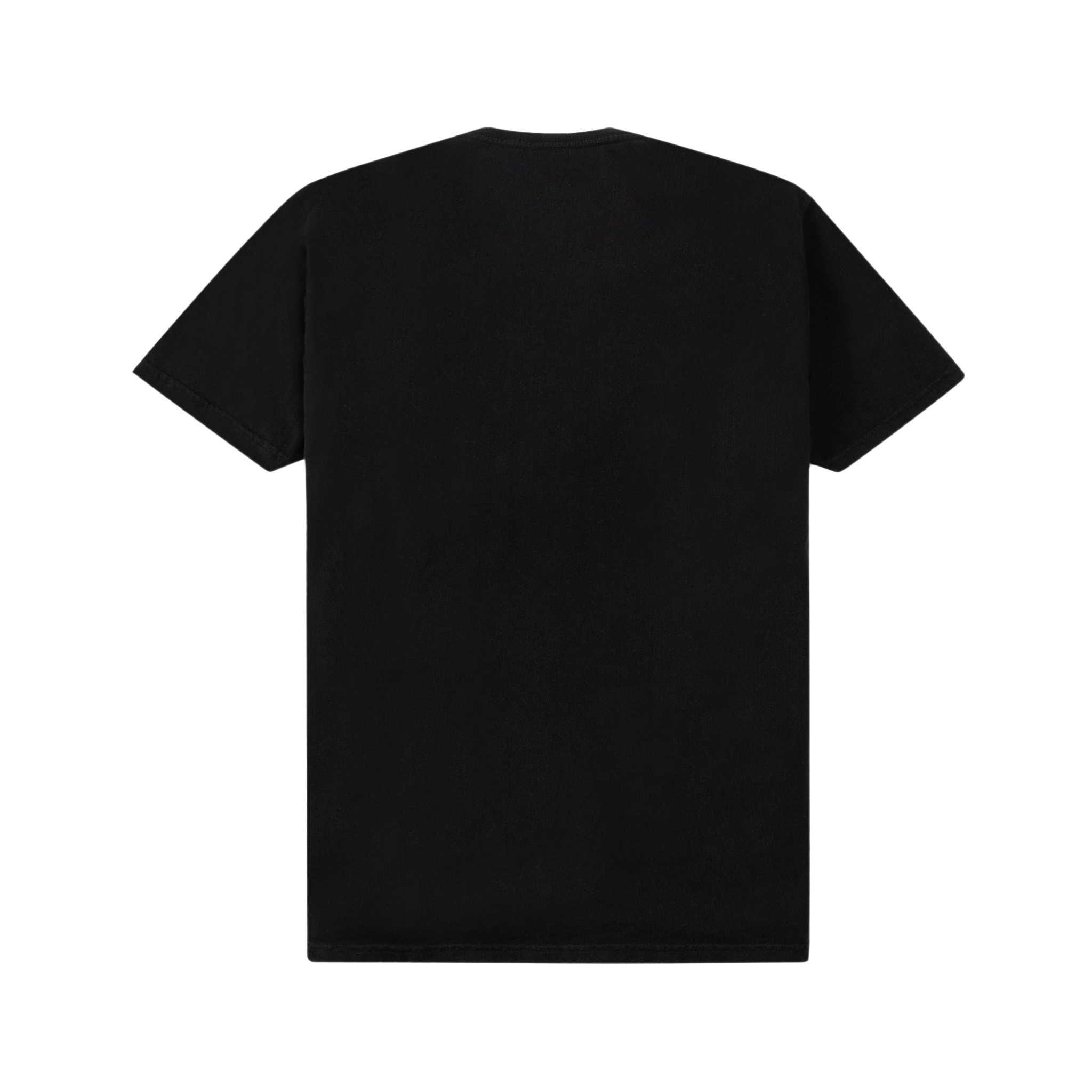 Paper Planes Colorful Reflection Tee (Black) - Paper Plane