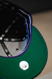 New Era Tampa Bay Devil Rays On-Field Script Green UV (Black/Purple) - New Era