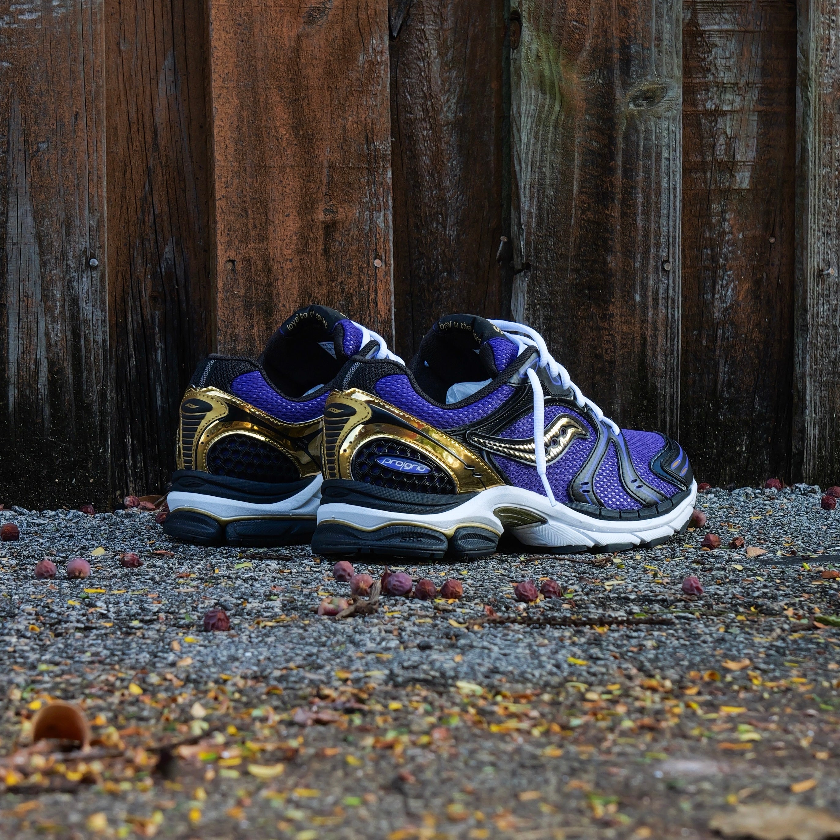 Mens Saucony ProGrid Triumph 4  (Purple/Gold) - Saucony