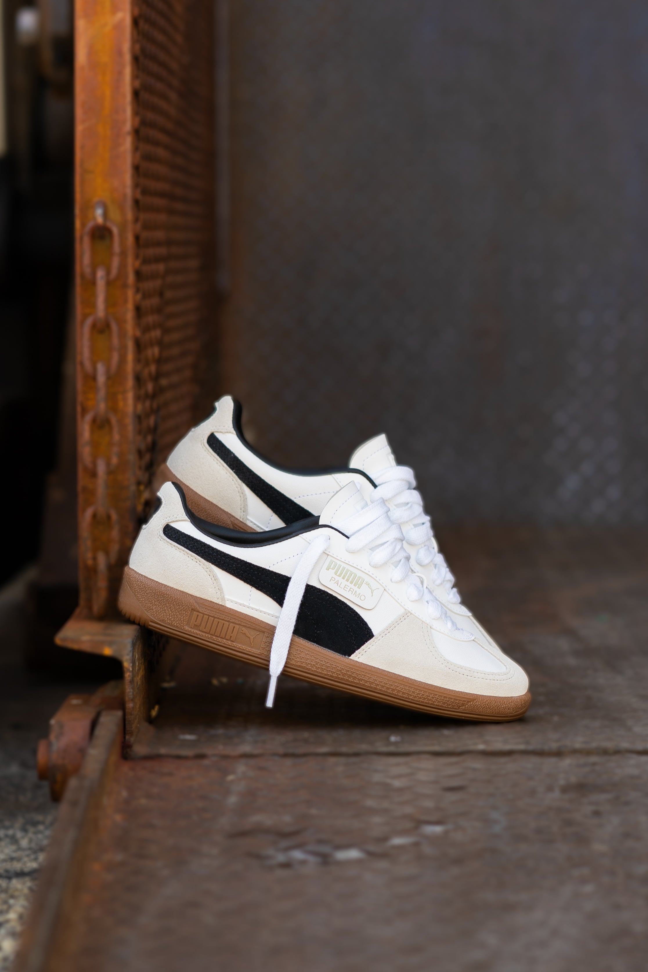 Mens Puma Palermo LTH (White/Black) - Puma