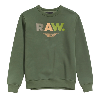 G-Star Multi Colored RAW. Sweater (Light Hunter) - G-Star RAW